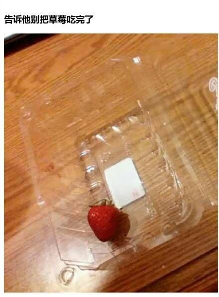 天真烂漫是吾师天真烂漫是吾师