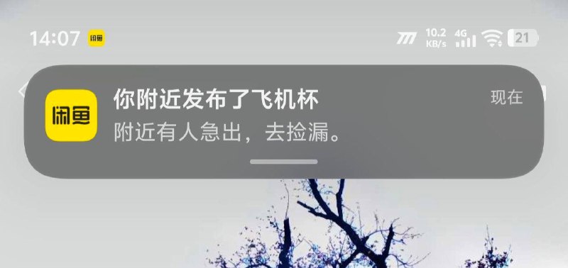 在闲鱼上抛妻弃子吗？bro…