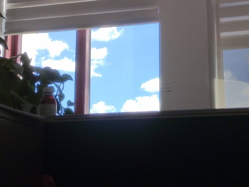 感觉拍的像动漫#拍照