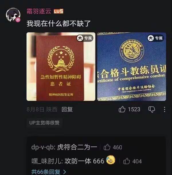 其实最好是在有精神病之前考一个律师证 这才是杀人于无刑