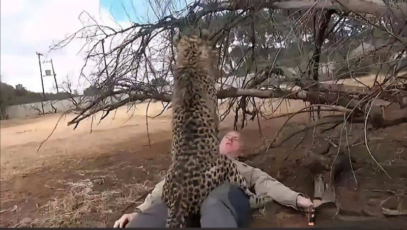 #户外 #人寿￼￼ 这是我定制的室外人寿骑橙位中杵猎骑豹纹单楠