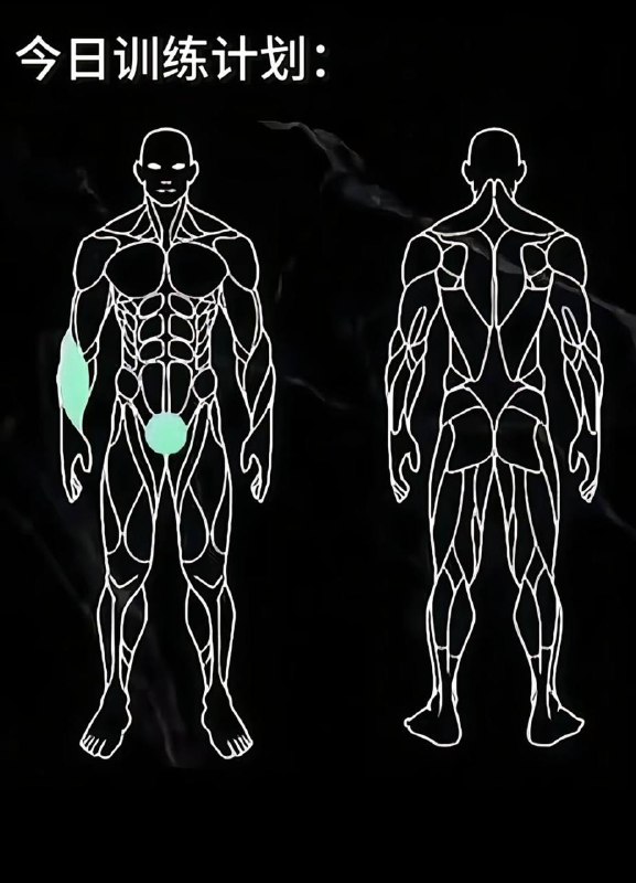 #健身 #健身干货￼￼