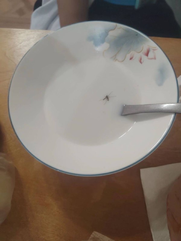 吃到肉了吃到肉了