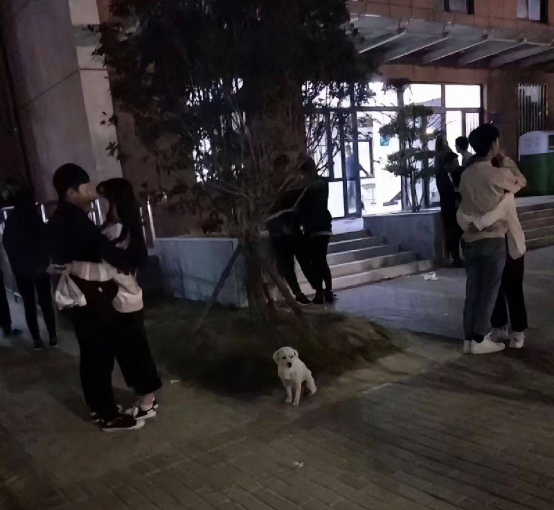 气出原形了 #情侣