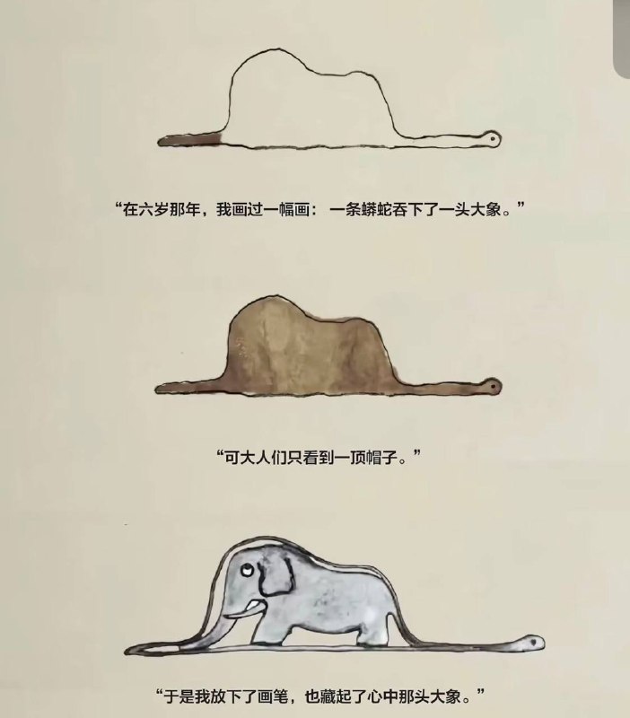 哟，还是个大象图案的帽子