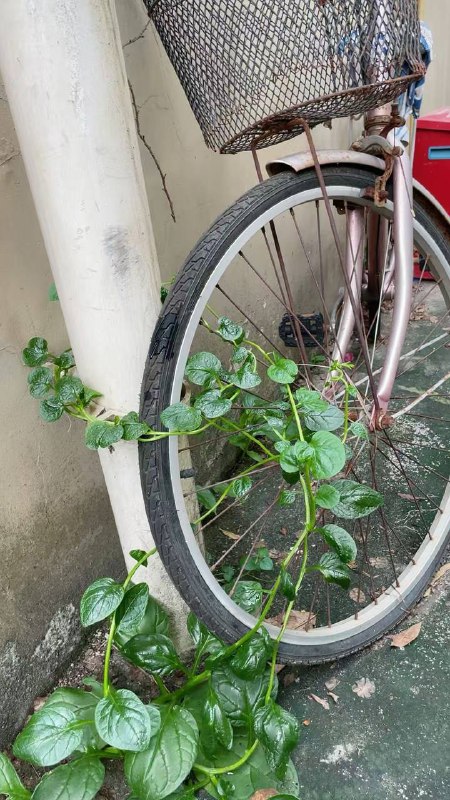 时间上了锁￼￼