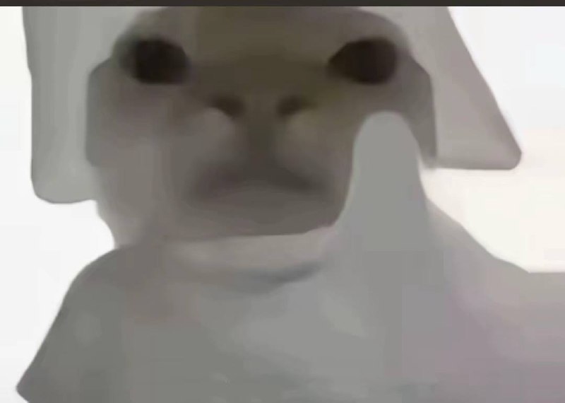 #哈基咪#哈基咪