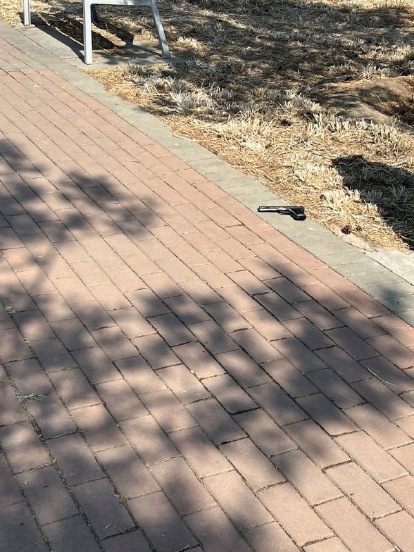 不是丢是不见了