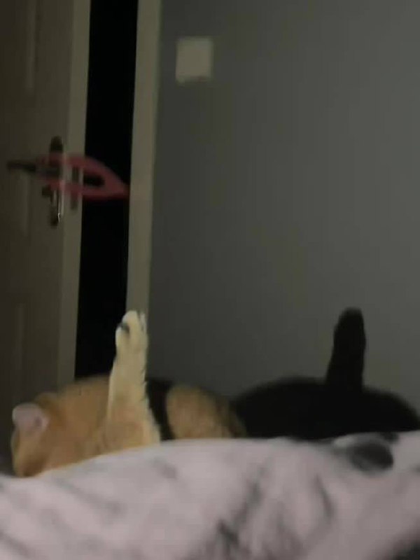 看的人心黄黄的看的人心黄黄的