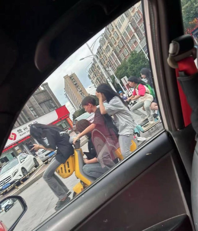 这才叫共享单车