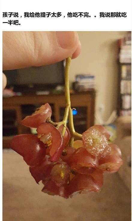 天真烂漫是吾师天真烂漫是吾师