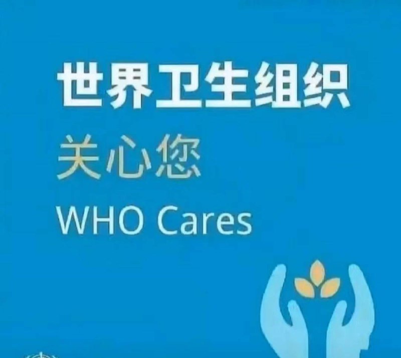 好mean的组织，避雷一下