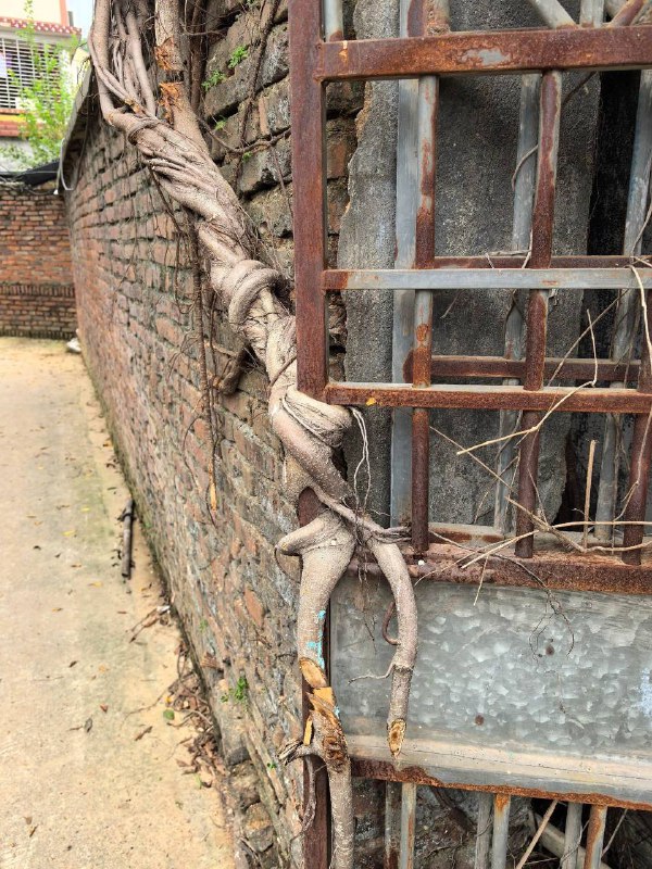 时间上了锁 #自然奇观￼￼