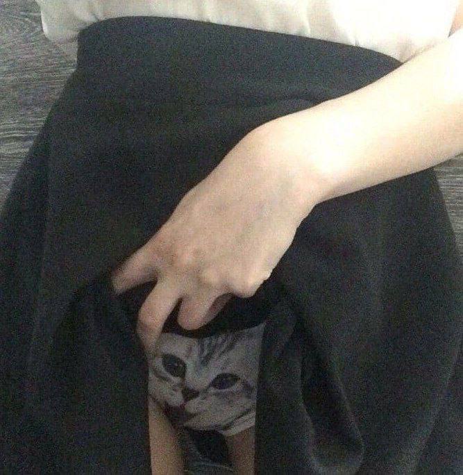 #哈基米 我一直在看着你