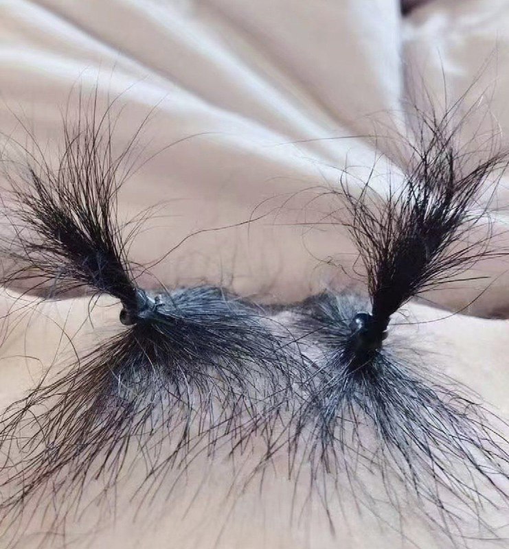 扎了个双辫